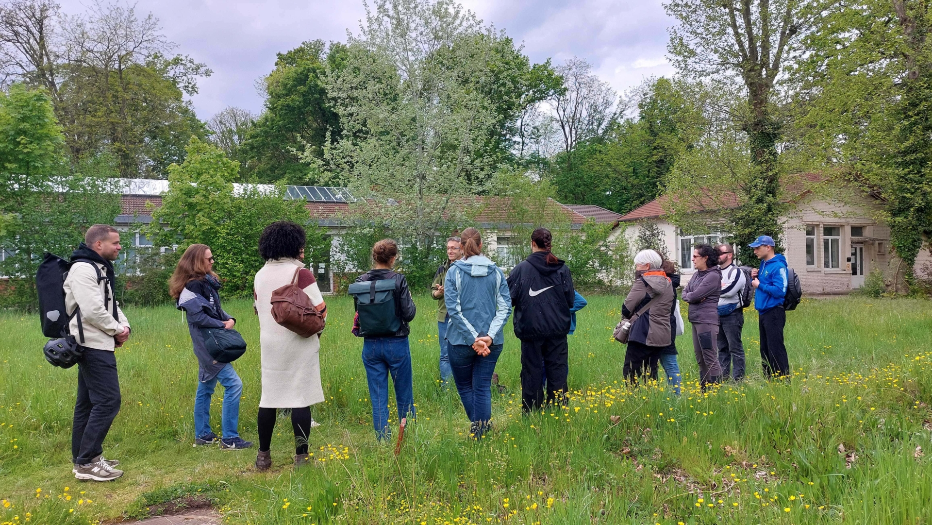 Balade Botanique Les Plantes Sauvages Comestibles Et Toxiques Nuits