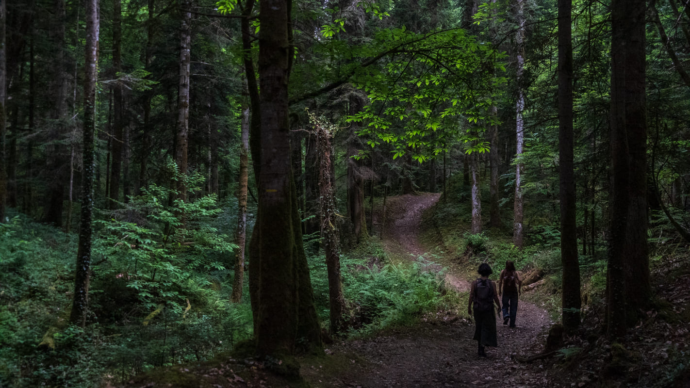 Parcours forestier et immersif « Faire terre »