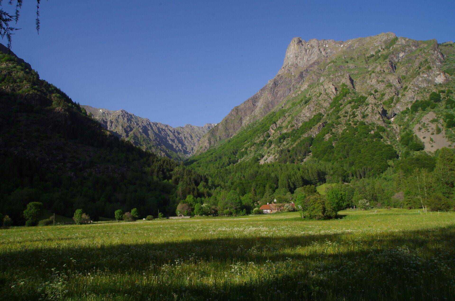 Immersion dans la Forêt de Molines en Champsaur