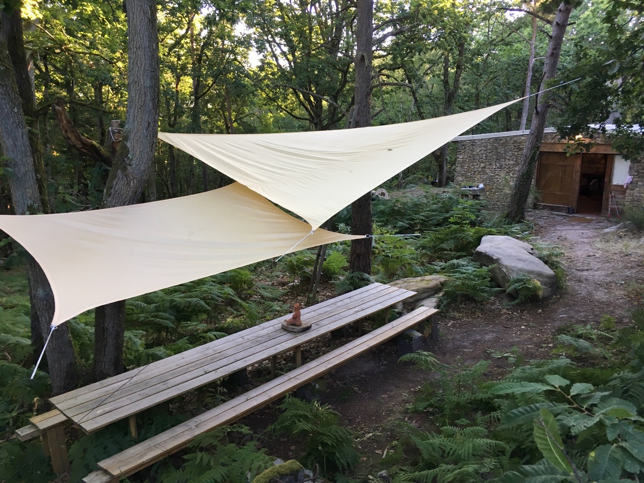 Journée forestière au bois du Val Hochard