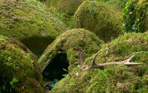 Laurent Tixador, parcours d’oeuvres à l’écoute de la forêt