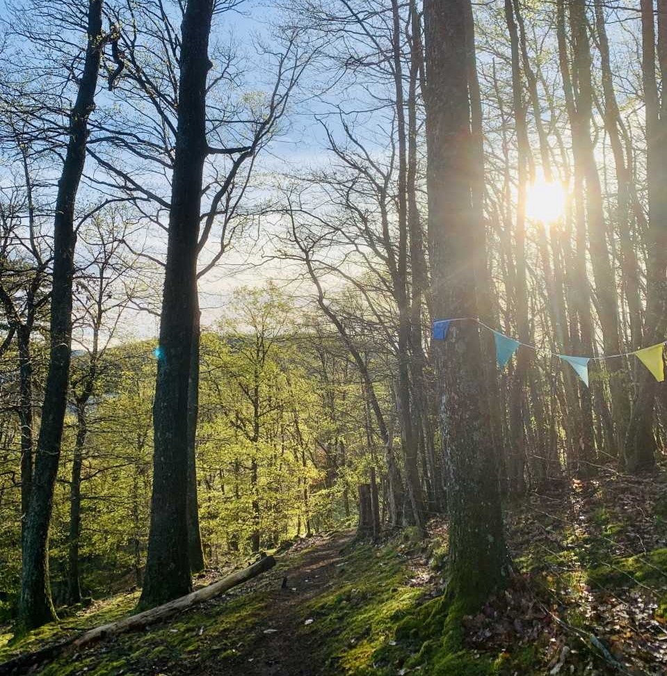 Soirée contée en forêt de la Bâtie