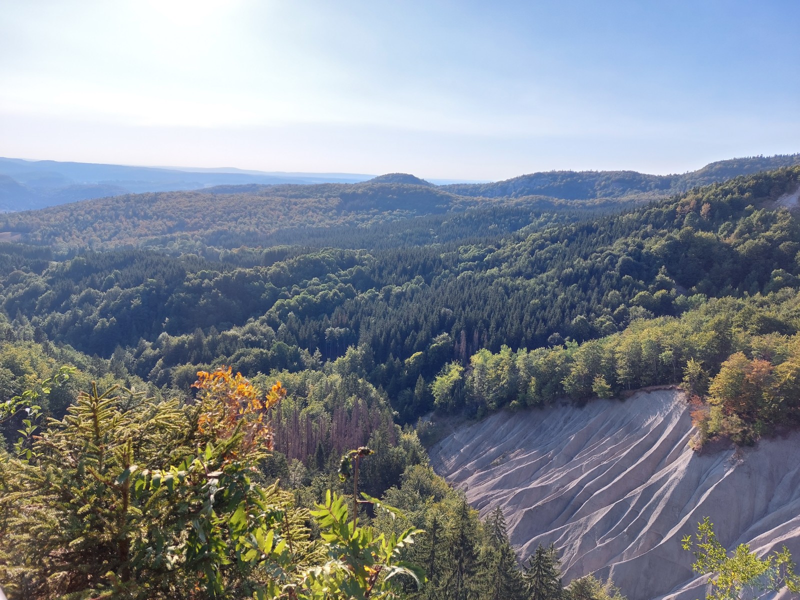 Archivé: Découverte des forêts jurassiennes