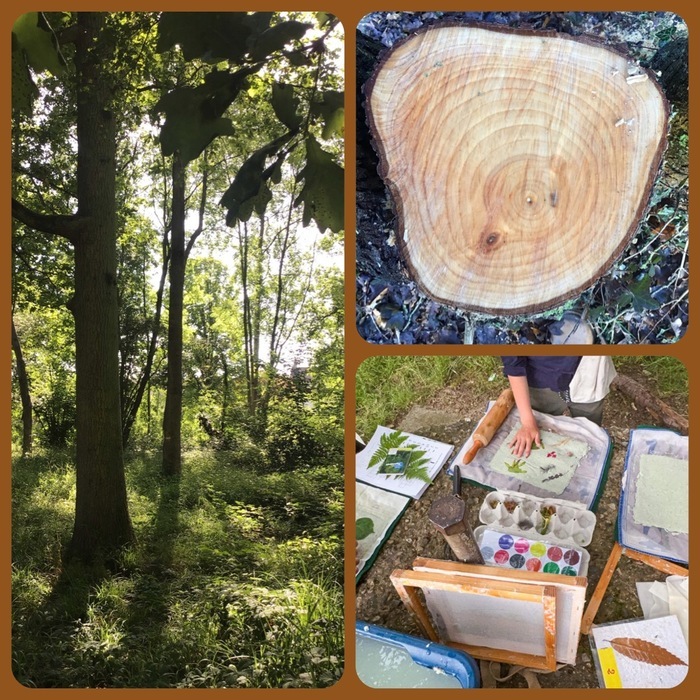 Archivé: De l’arbre au papier