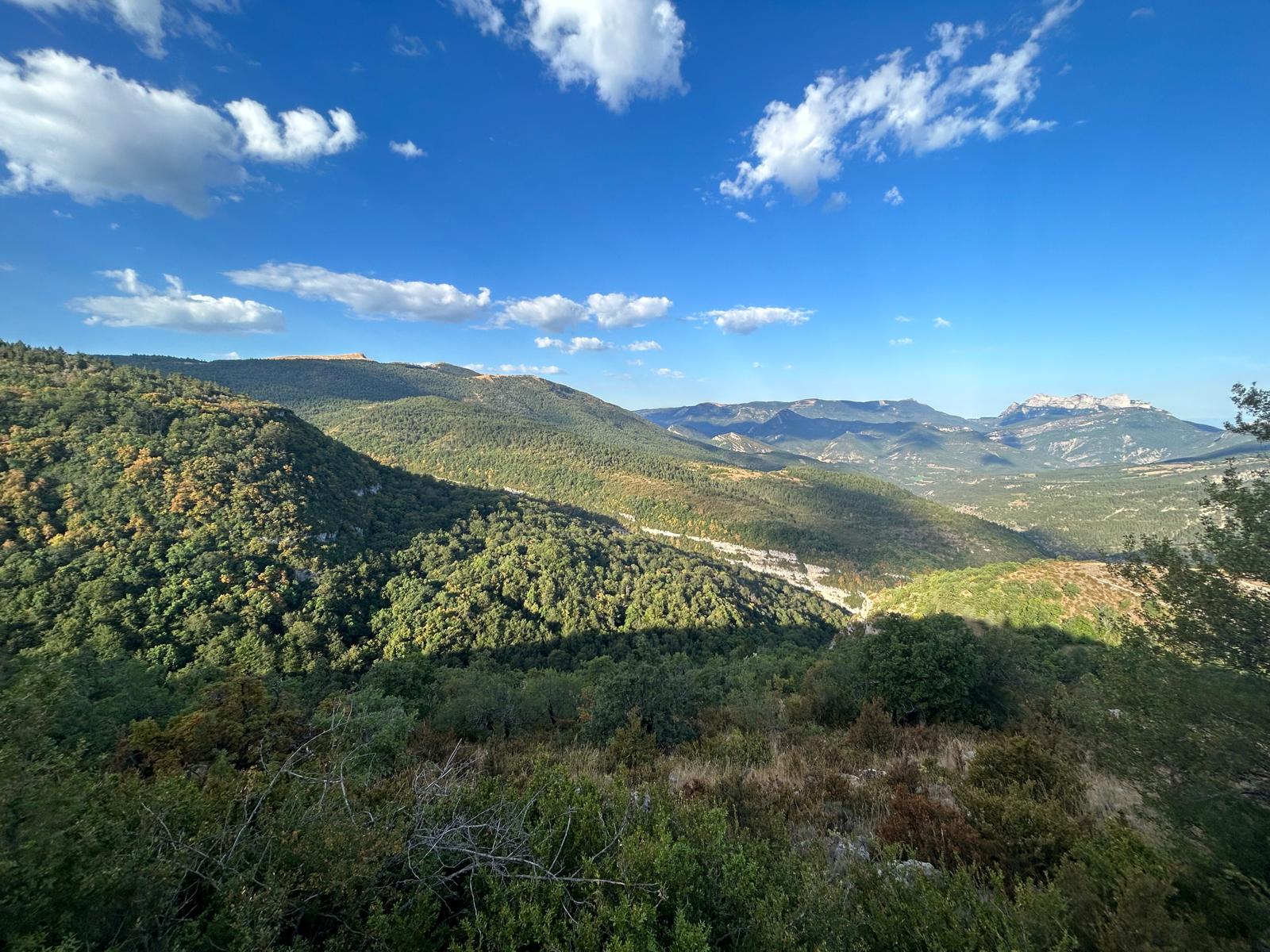 Archivé: Découverte des forêts de la Luine et Beaufay
