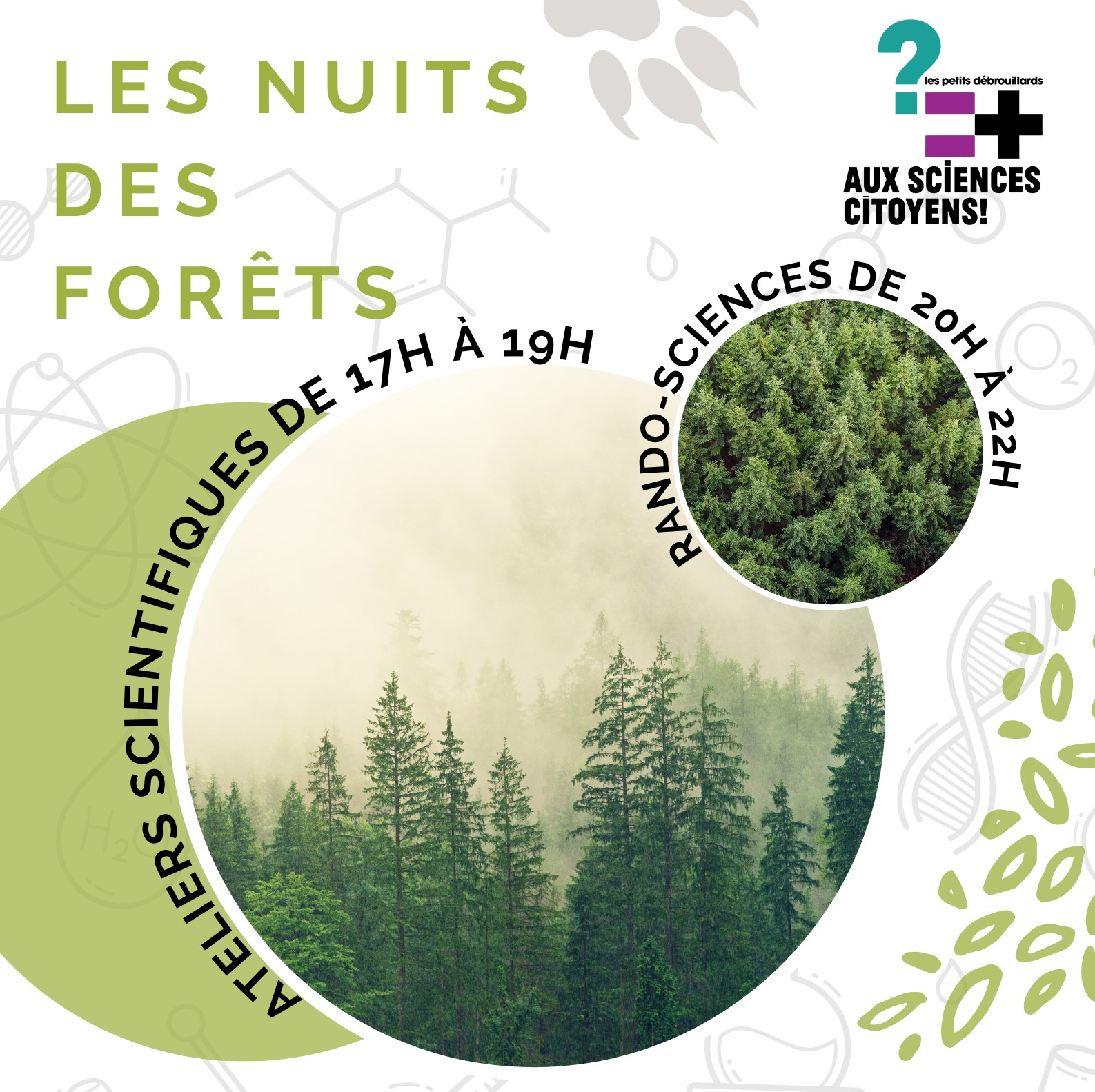 Archivé: Immersion scientifique et sportive en forêt