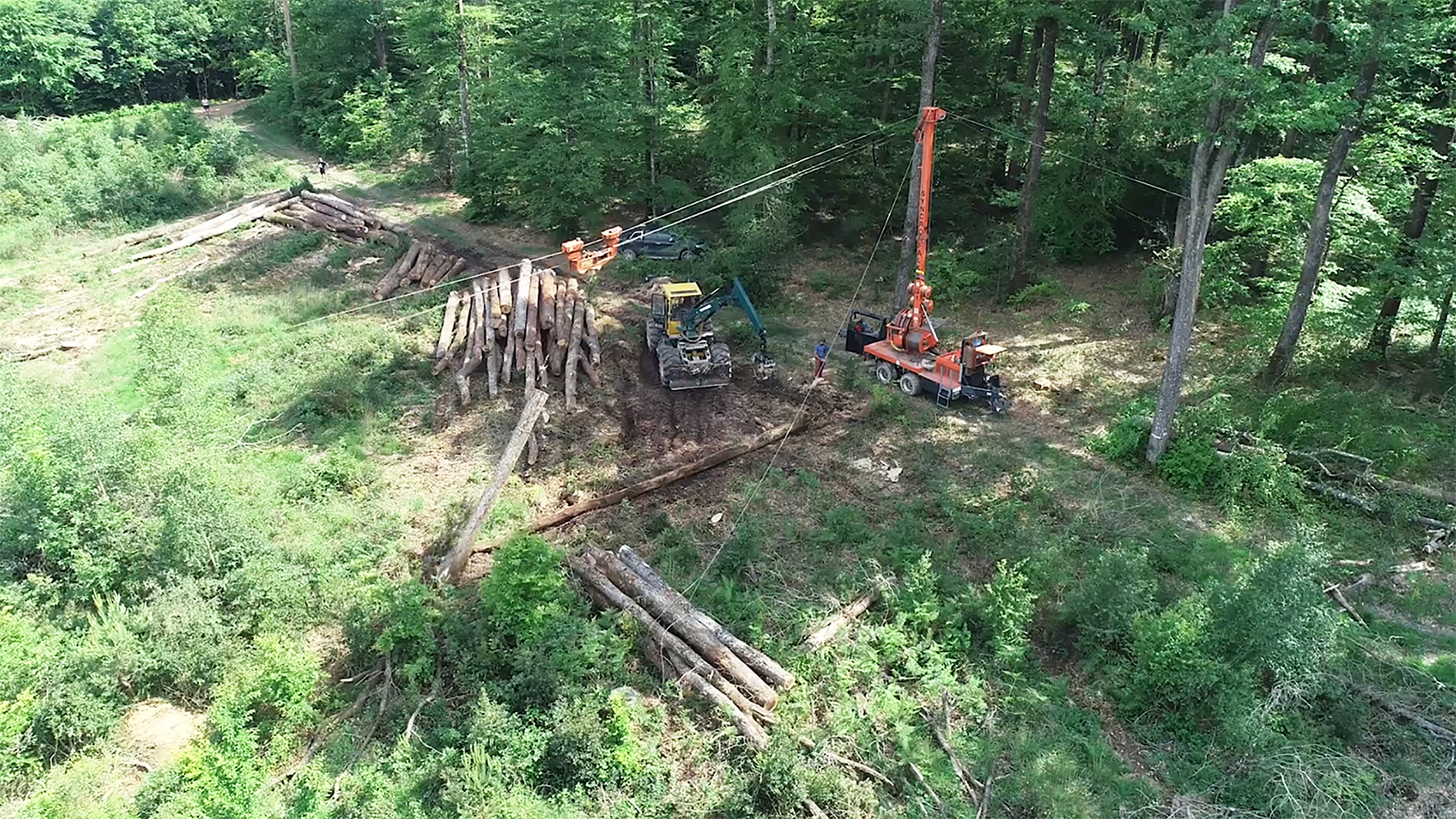 Archivé: À la découverte des pouvoirs de la forêt