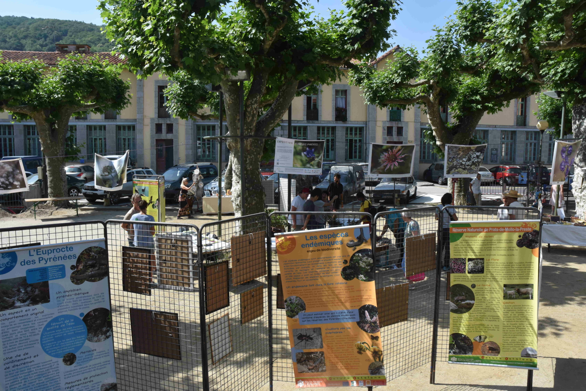 Rencontre arts et nature – Cinéma en plein air