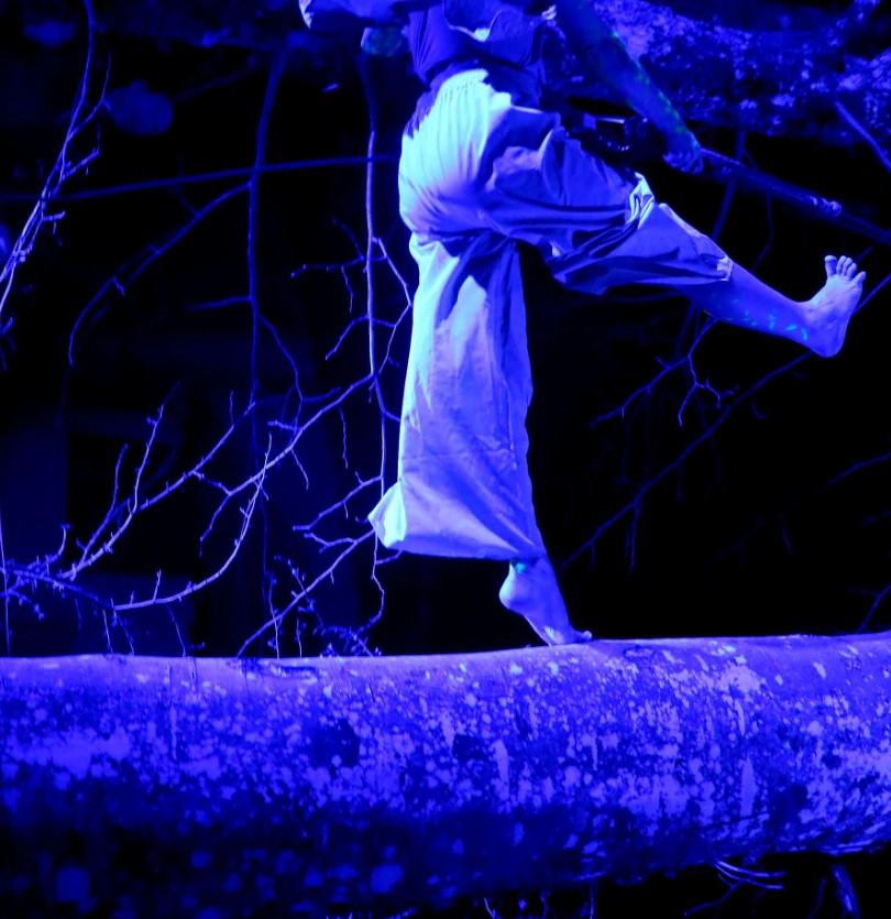 Danse suspendue à un arbre