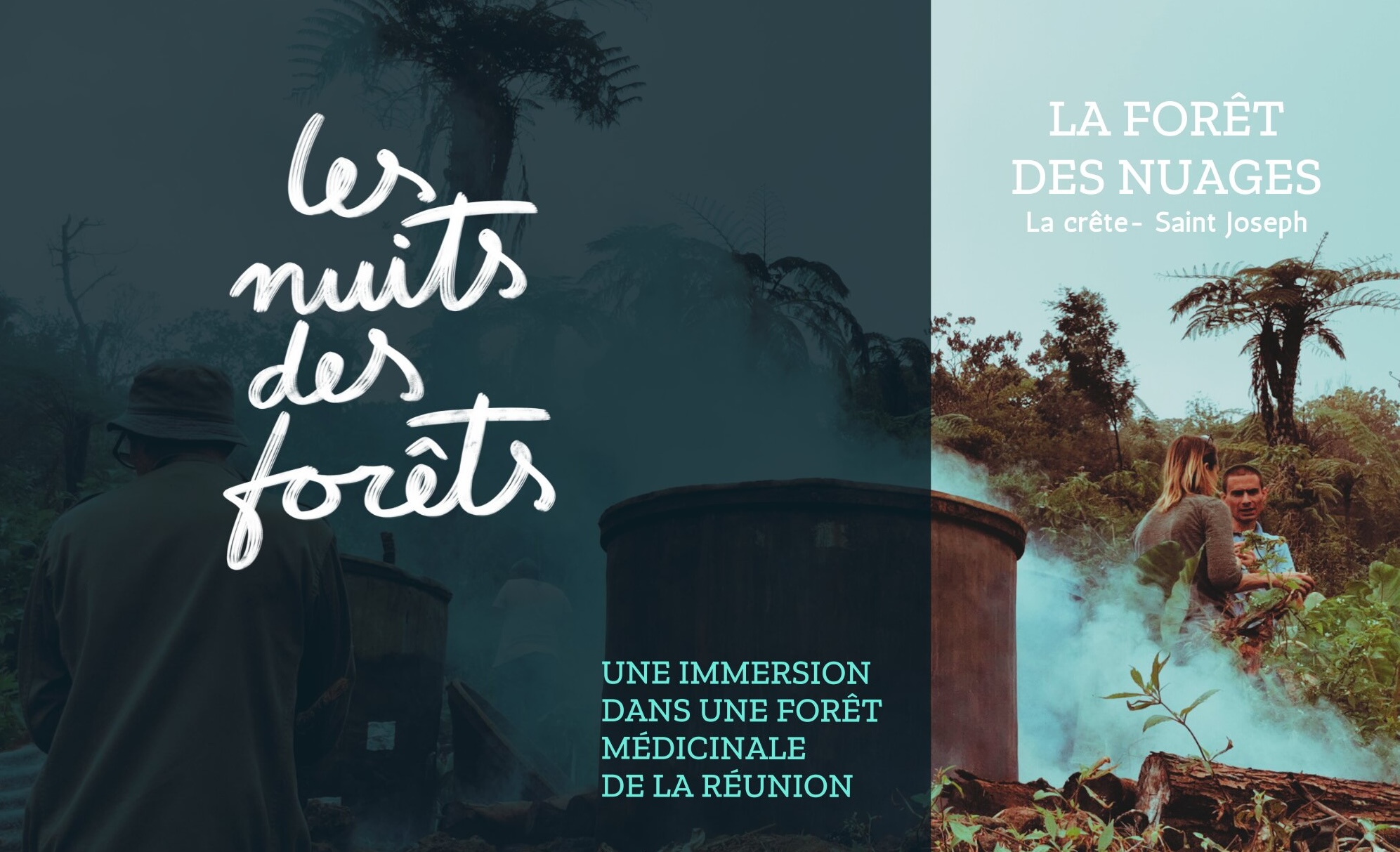 Archivé: Immersion dans une forêt médicinale de La Réunion
