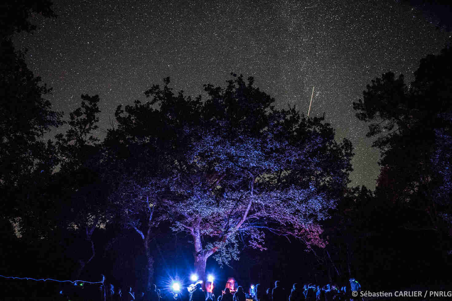 SOUS LES ÉTOILES, RANDONNÉE ARTISTIQUE EN FORÊT