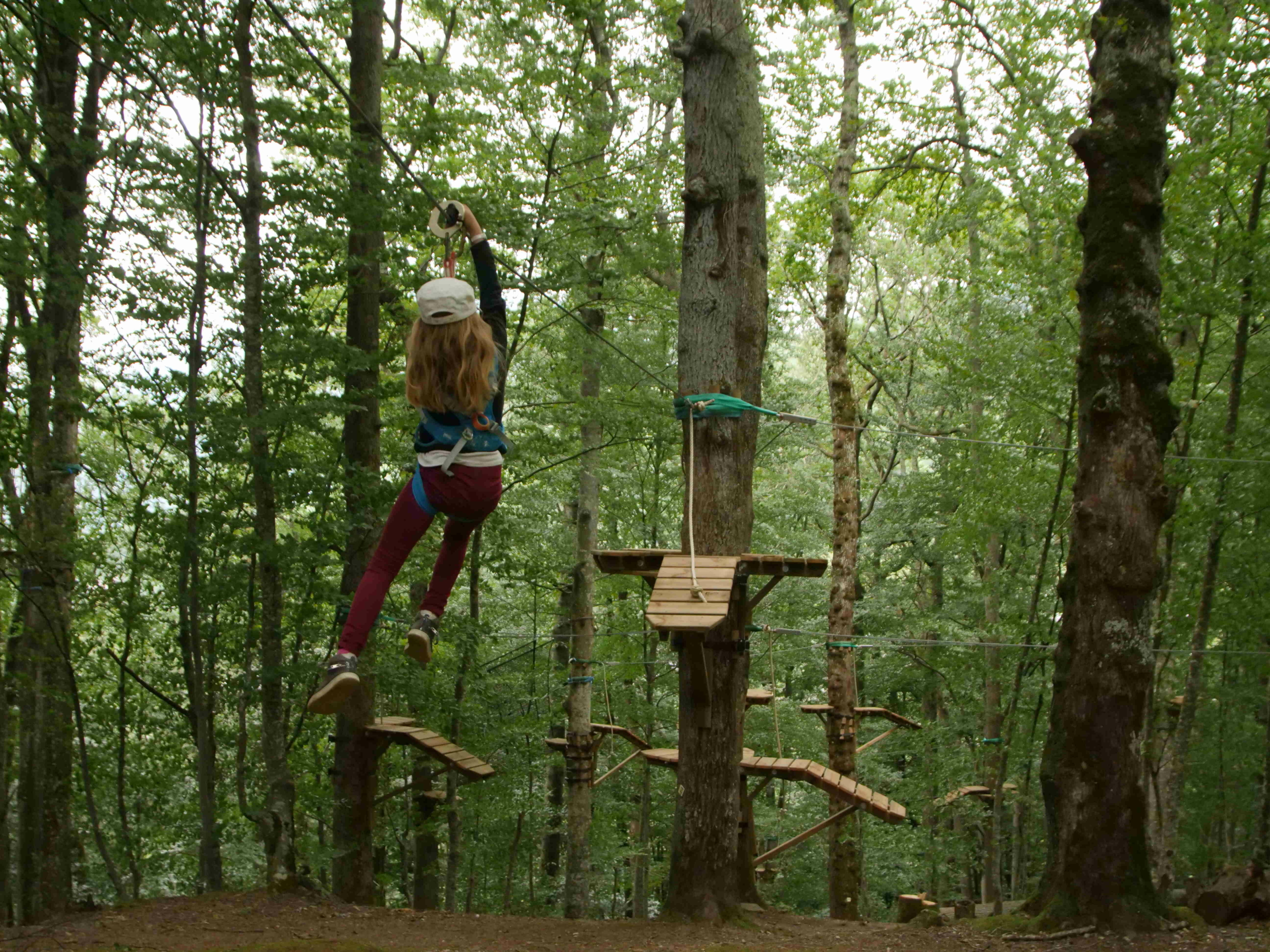 Archivé: Explorez la forêt à OBA’O