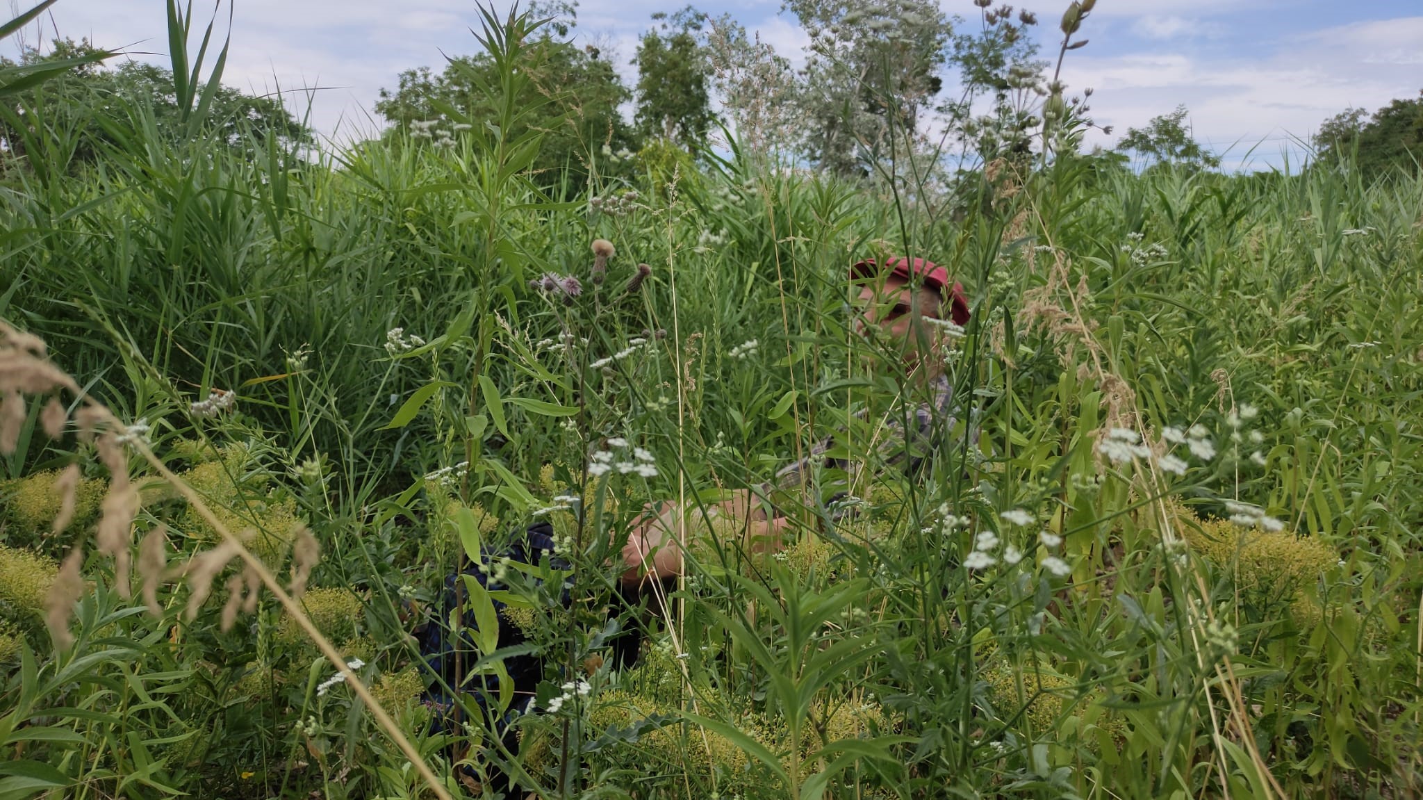 Archivé: HYPER-FORÊT, LES ASSEMBLÉES DES NOMS #5 – 9 juin