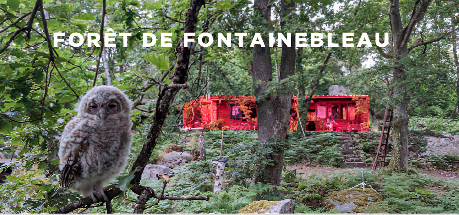 En résonance : 24h de fête pour la biodiversité !