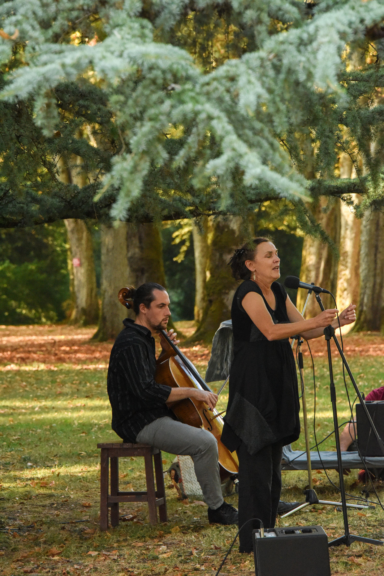 Forêt d’histoires