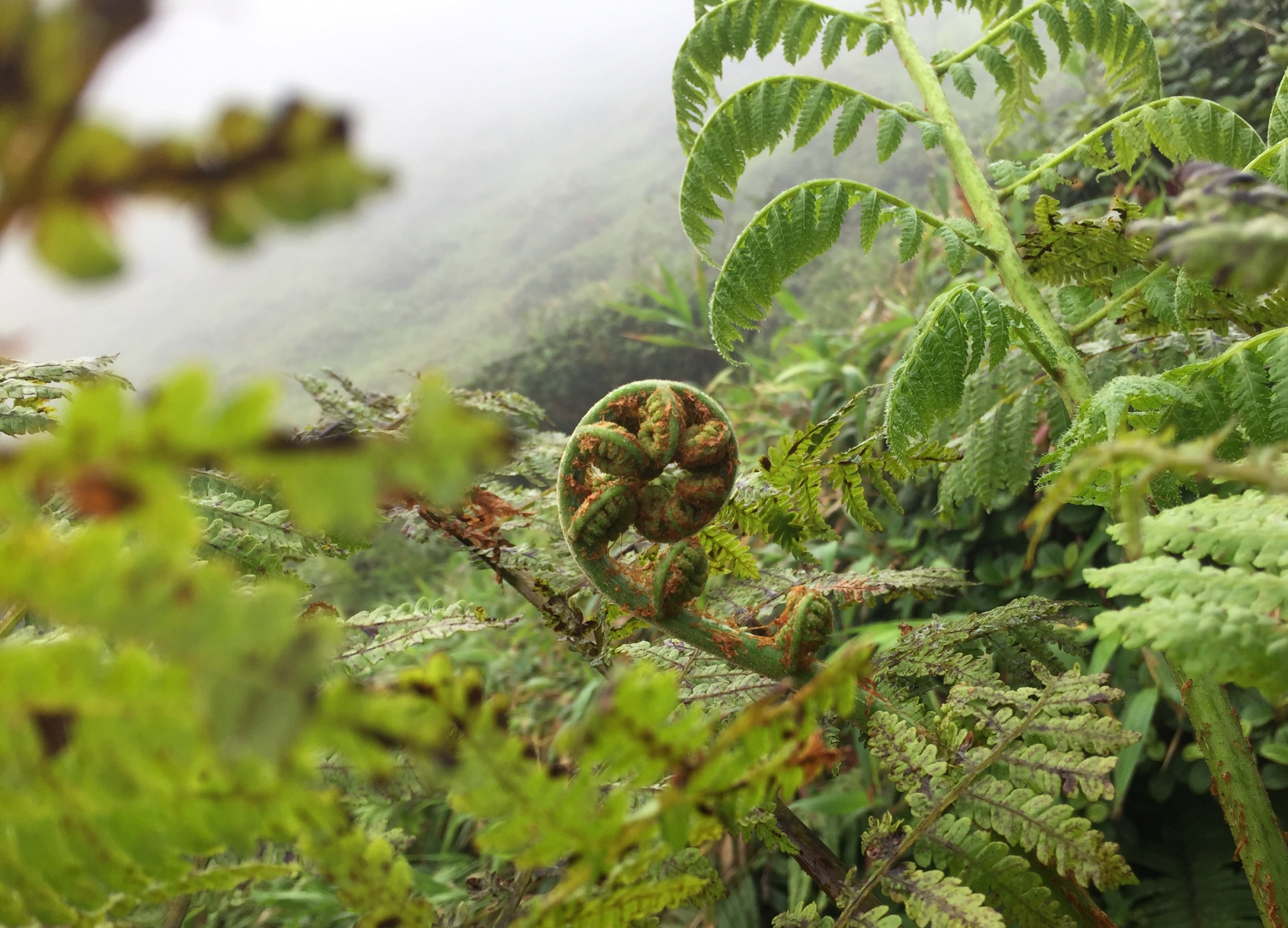 Archivé: RANDONNÉE-RENCONTRE POUR COMPRENDRE L’IMPACT DU CHANGEMENT CLIMATIQUE SUR LA FORÊT