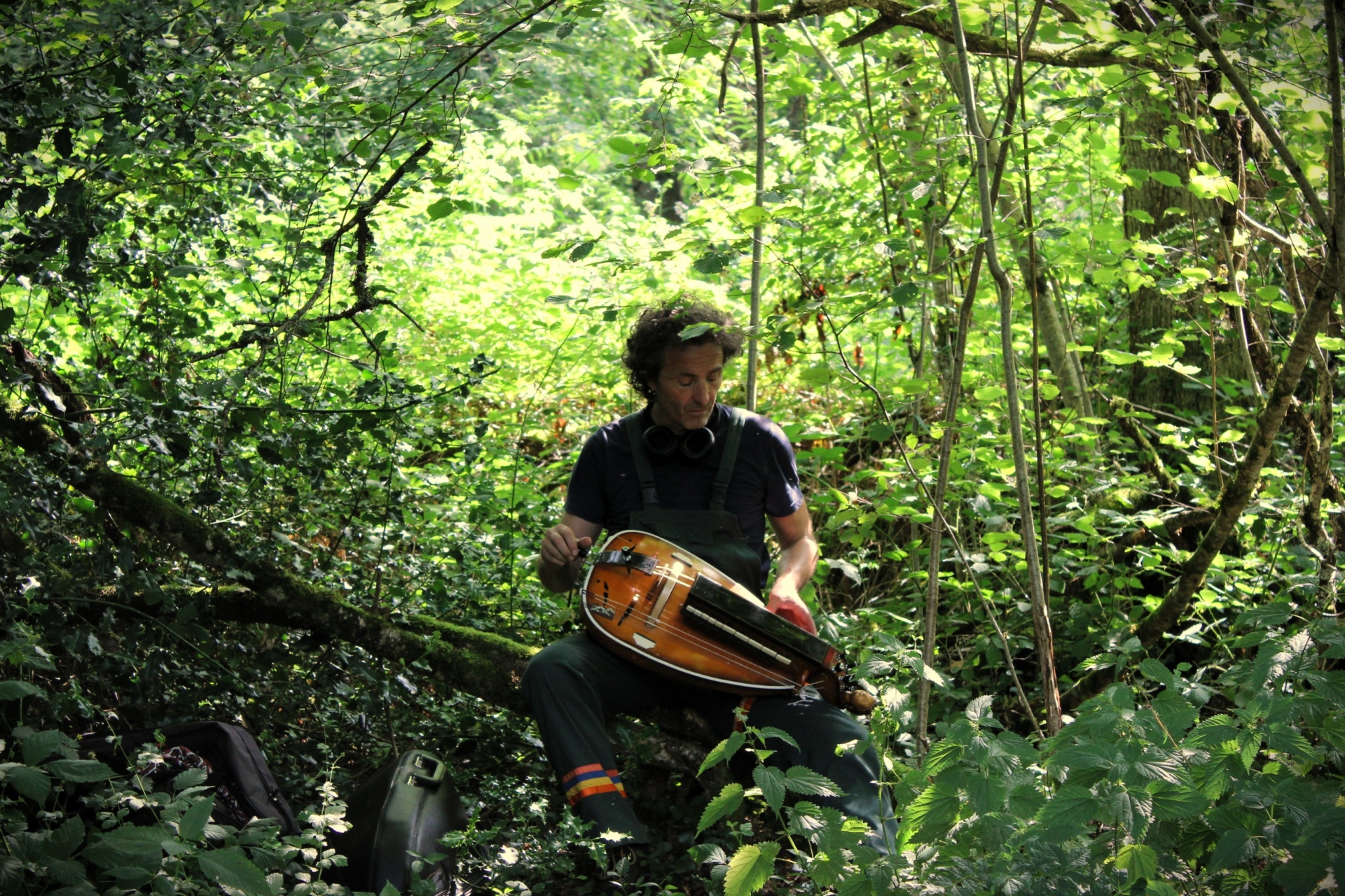 Prenez part au festival Nuits des Forêts 2026 !