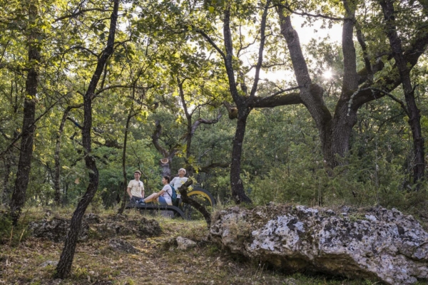 Bain de forêt et cérémonie du thé