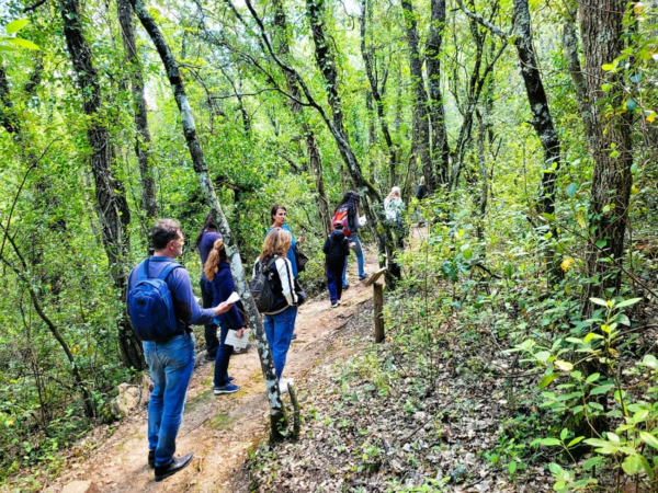 Bain de forêt et cérémonie du thé
