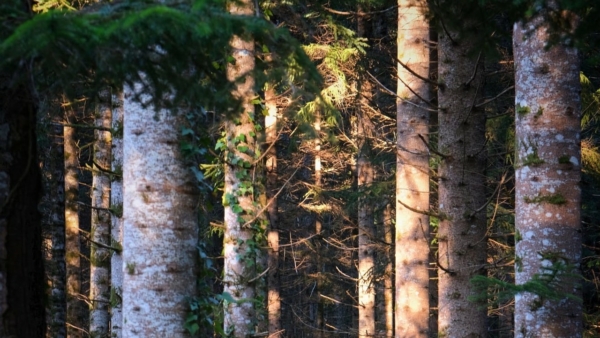 Balades biodiversité et littéraire et auberge espagnole