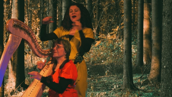 Balade pédagogique et conte & harpe en forêt « l’Arbre et l’Oiseau » 