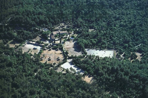 Bain de forêt et cérémonie du thé