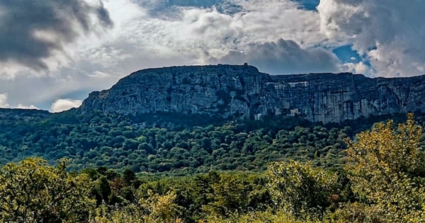 Bain de forêt et cérémonie du thé