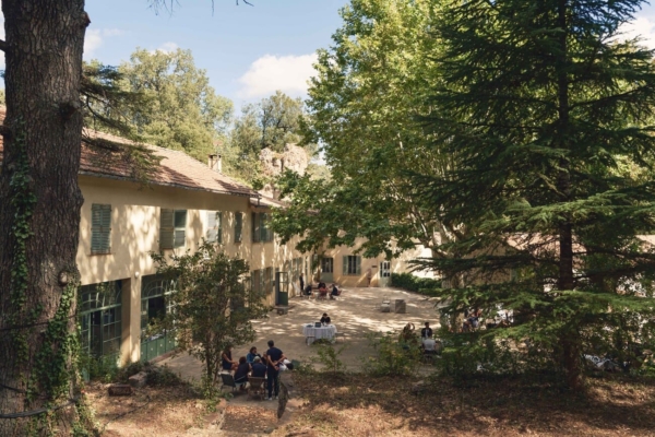 Bain de forêt et cérémonie du thé