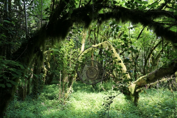 Spectacles et balades sensorielles à la forêt d’Andelot-Morval