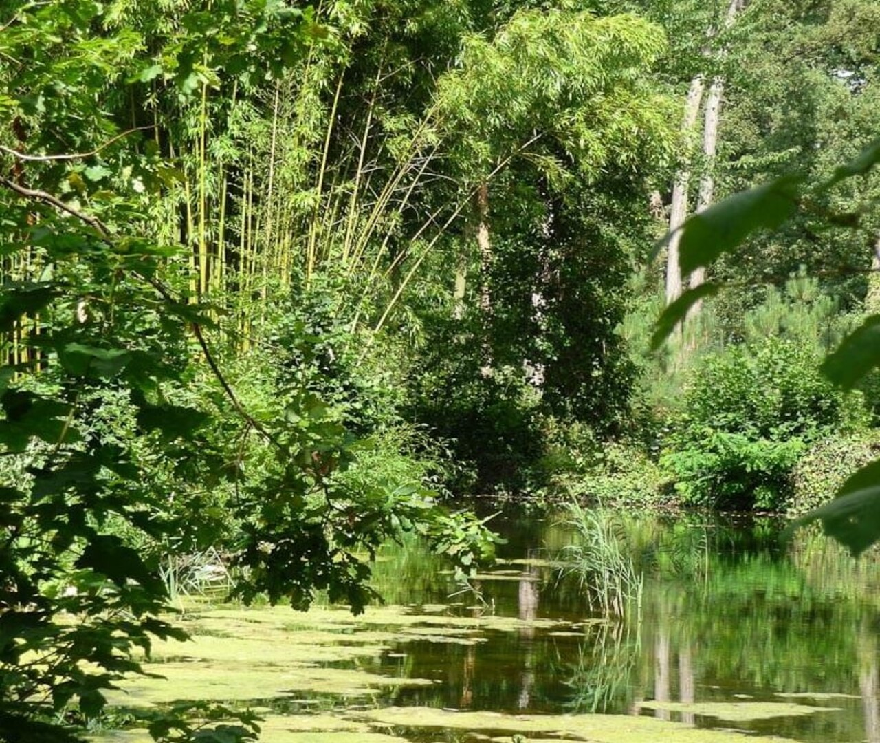 Découvertes naturalistes Jardin d’Agronomie Tropicale de Paris
