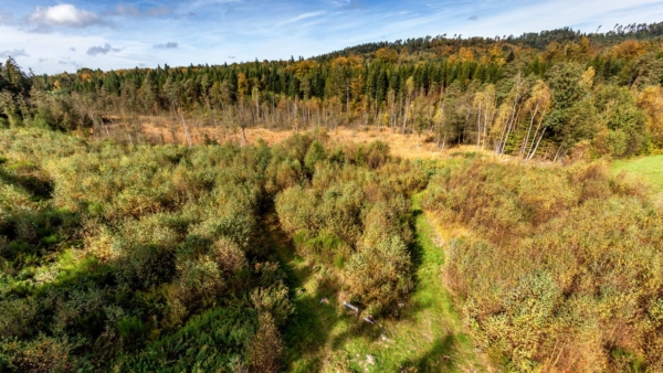 La biodiversité des tourbières