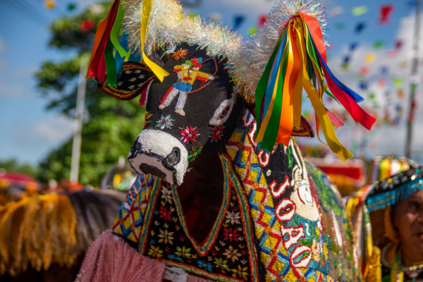La fête du Boï en forêt de Notre Dame à Lésigny !
