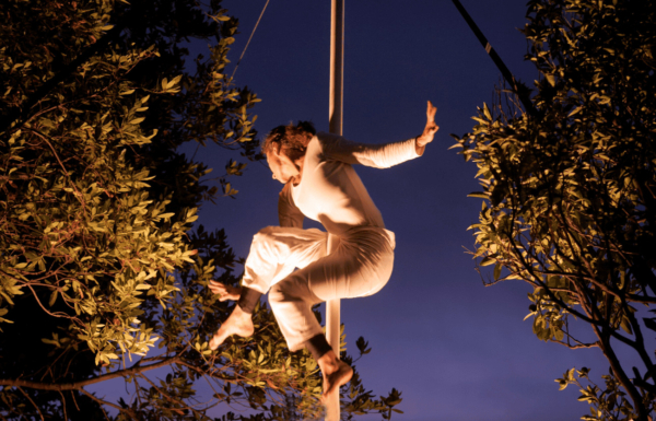 Exposition « A la rencontre de nos forêts » et Pièce de cirque « De l’air »