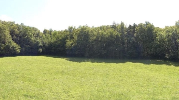 « Les secrets cachés de la Forêt : Une Aventure au Cœur des Transformations de ses habitants »
