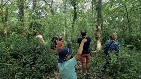 Ateliers bois, gymnastique douce, concert, bivouac et rallye !