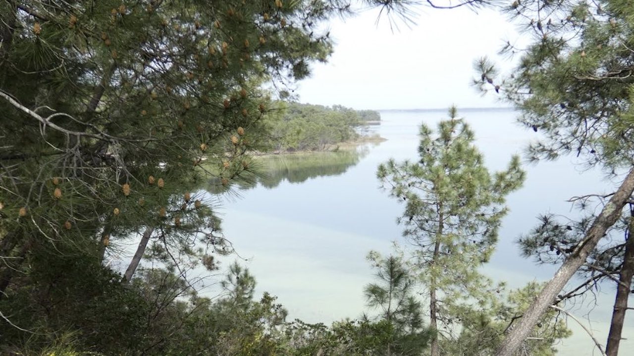 Promenade poétique par la Cie La Vie Grande