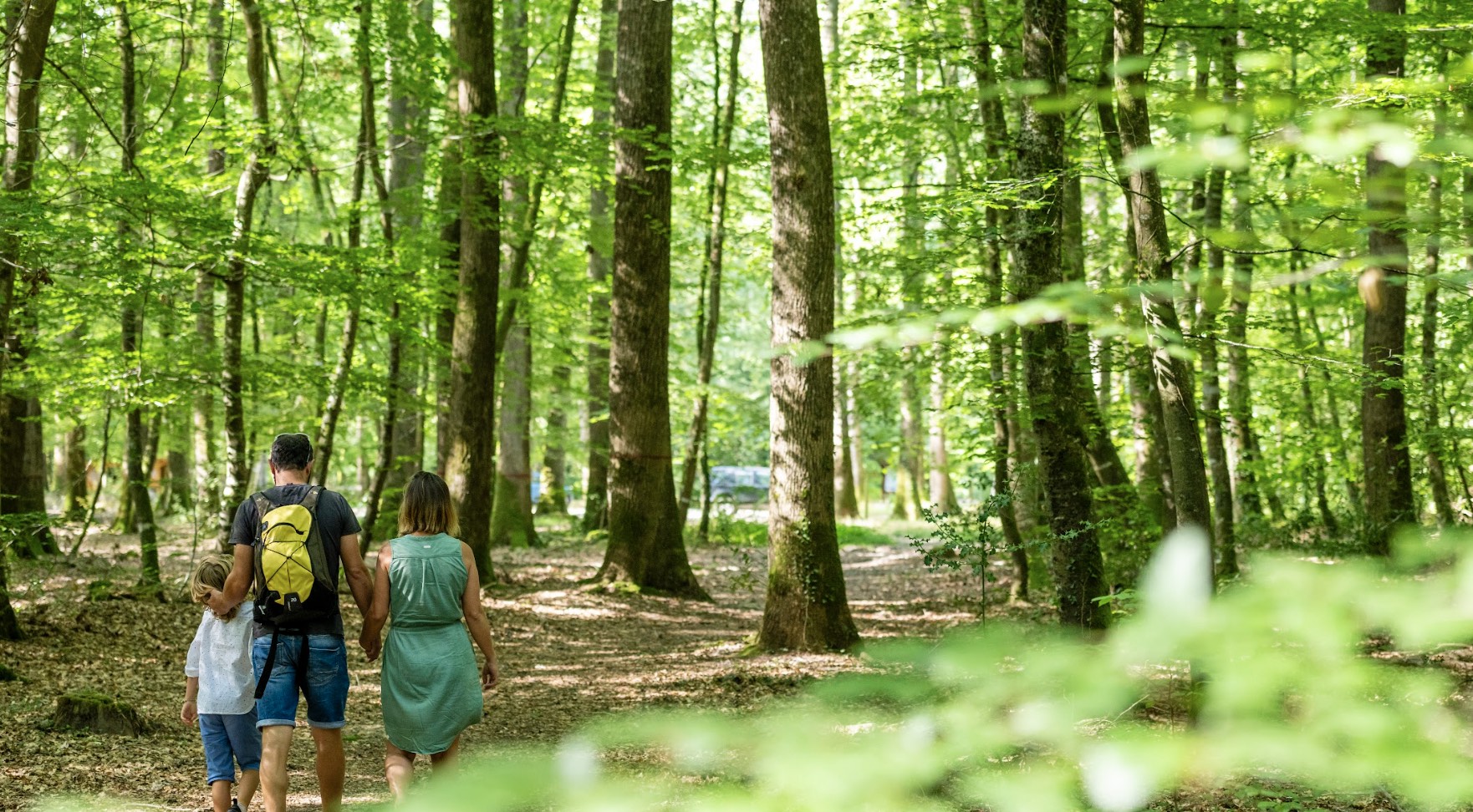 Activités originales et inattendues à Chandelais !