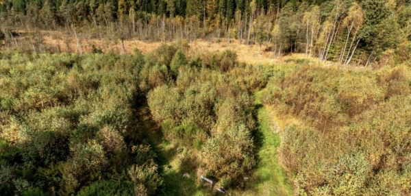 Forum : quelles représentations de la forêt, d’hier et d’aujourd’hui ?