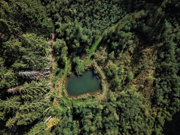 8 jours de festival en Forêt de Tiragoutte