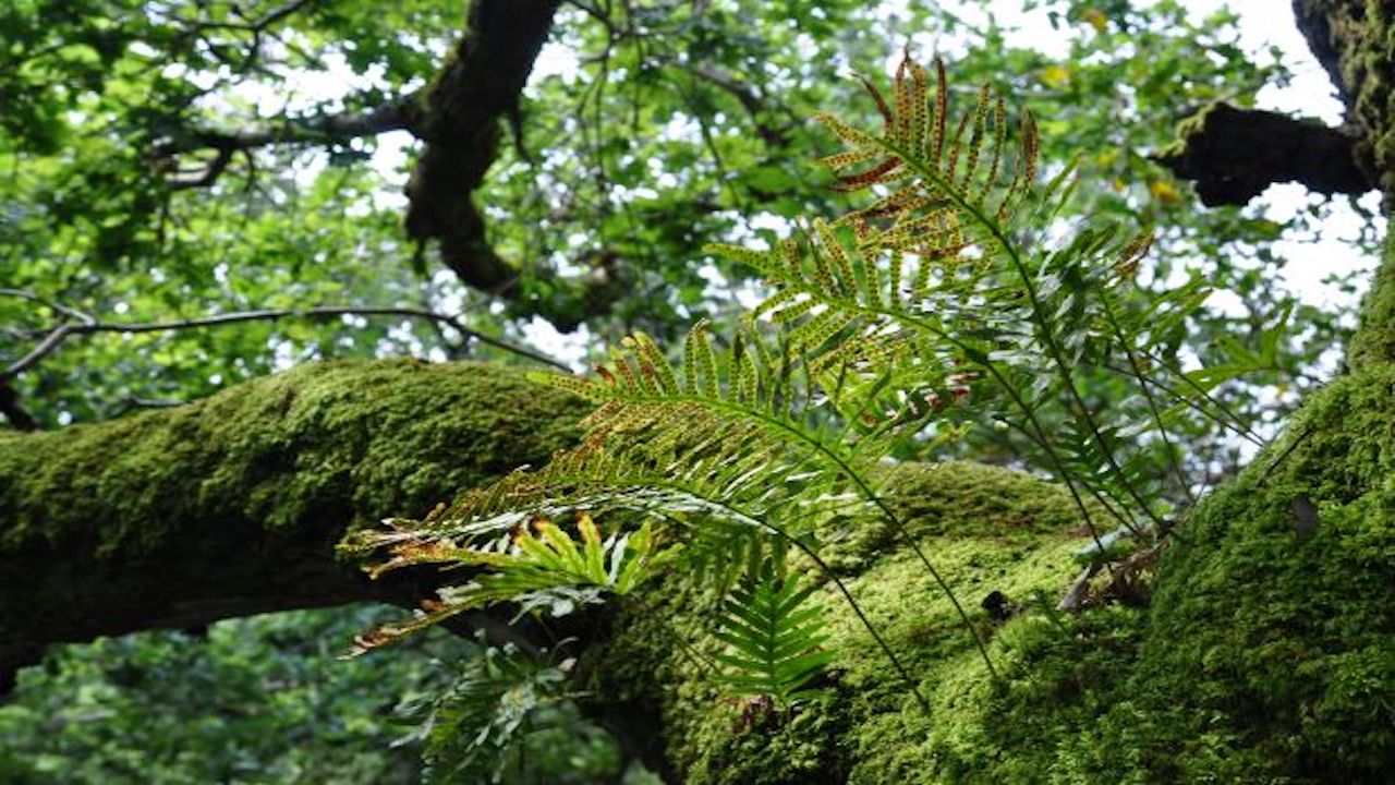 Promenade entre mémoire, nature, et avenir, au cœur d’un patrimoine vivant à découvrir et à préserver