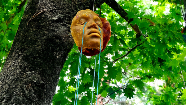 Exposition « Voir la Forêt »
