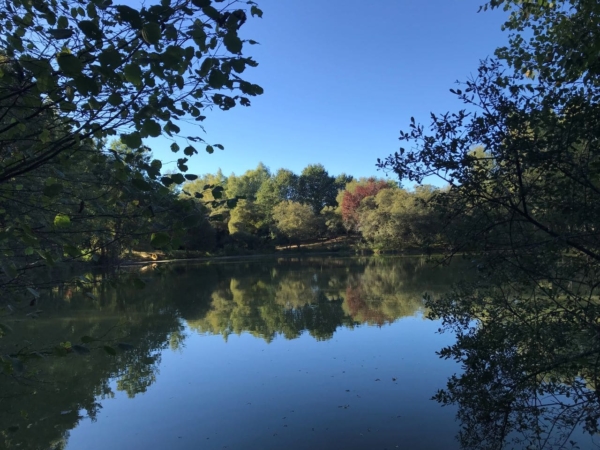 Ateliers pédagogiques, rencontres et immersions sensorielles au Domaine du Bonheur !