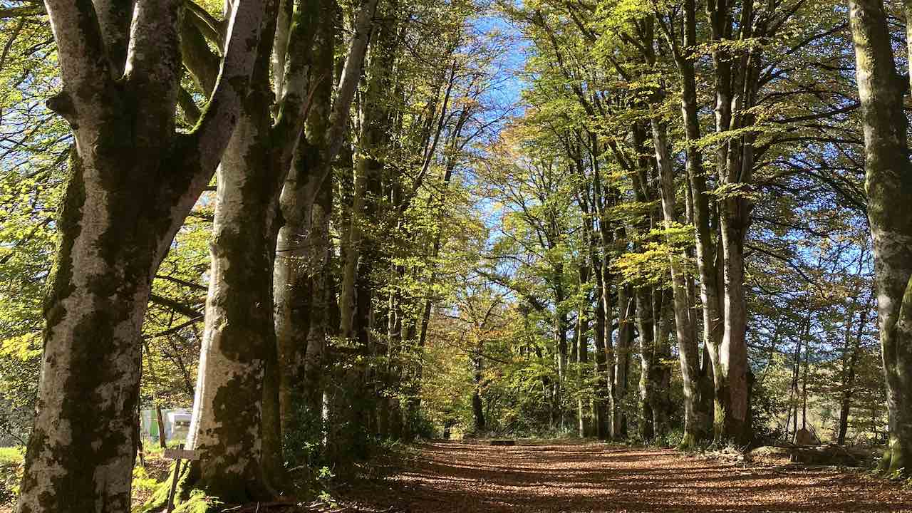 Après-midi de balades guidées au Lieu-dit Chez Thivaud