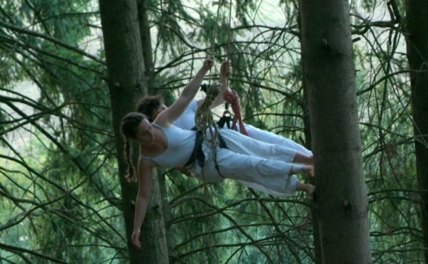 Grimpe d’arbres et danse aérienne