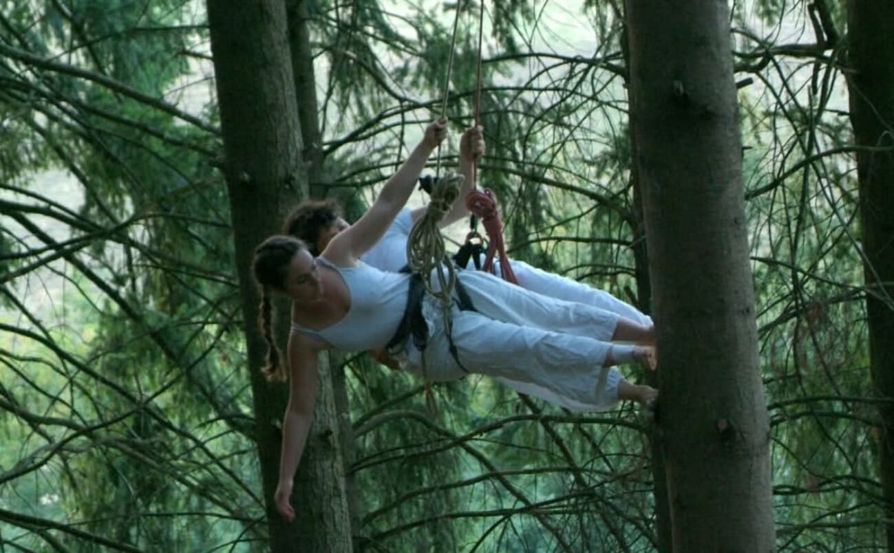 Grimpe d’arbres et danse aérienne