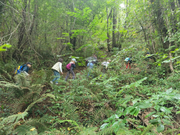 Le 8 juin à Brassacou : grimpe d’arbres, parcours sensoriel, conférences et pédagogie
