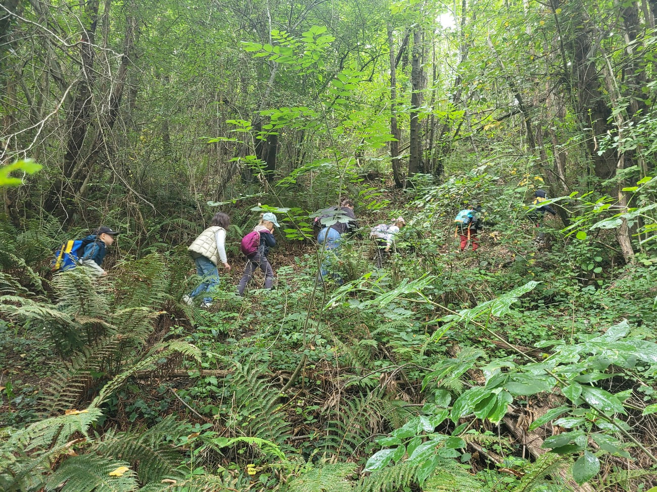 Le 8 juin à Brassacou : grimpe d’arbres, parcours sensoriel, conférences et pédagogie