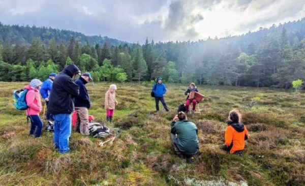 Dans l’intimité du sous-bois