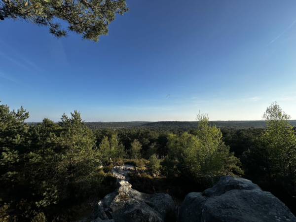 Mieux comprendre la Forêt de Fontainebleau avec le Centre d’écotourisme de Franchard !