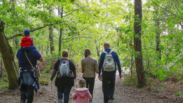 Forêt sensorielle à Darnétal